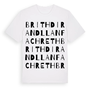 Brithdir and Llanfachreth ordlek t-shirt – ekologisk bomull t-shirt från Pinshirt