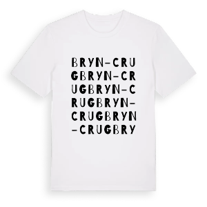 Bryn-Crug ordlek t-shirt – ekologisk bomull t-shirt från Pinshirt