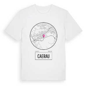 Caerau t-shirt – ekologisk bomull t-shirt från Pinshirt