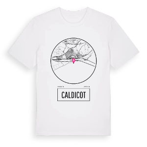 Caldicot t-shirt – ekologisk bomull t-shirt från Pinshirt
