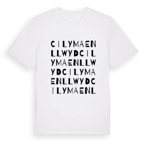 Cilymaenllwyd ordlek t-shirt – ekologisk bomull t-shirt från Pinshirt