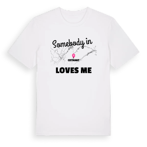 Någon i Crynant älskar mig t-shirt – ekologisk bomull t-shirt från Pinshirt