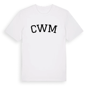 Cwm böjd t-shirt – ekologisk bomull t-shirt från Pinshirt