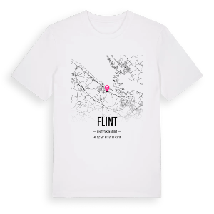 Flint karta t-shirt – ekologisk bomull t-shirt från Pinshirt