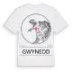 Gwynedd t-shirt