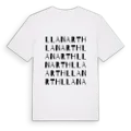 Llanarth ordlek t-shirt