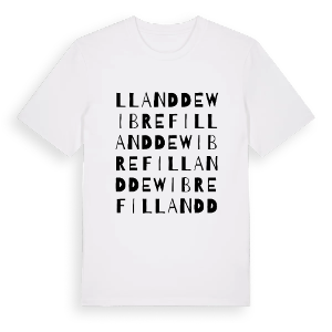 Llanddewi Brefi ordlek t-shirt – ekologisk bomull t-shirt från Pinshirt