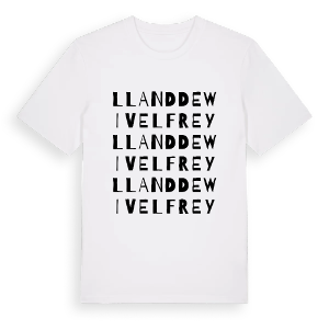 Llanddewi Velfrey ordlek t-shirt – ekologisk bomull t-shirt från Pinshirt