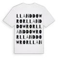 Llanddowror ordlek t-shirt
