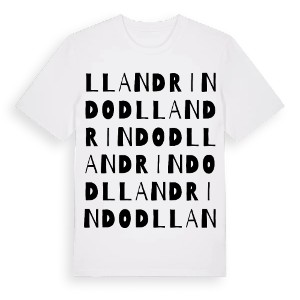 Llandrindod ordlek t-shirt – ekologisk bomull t-shirt från Pinshirt