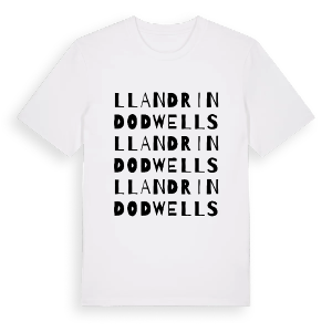 Llandrindod Wells ordlek t-shirt – ekologisk bomull t-shirt från Pinshirt