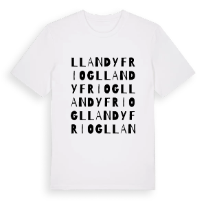 Llandyfriog ordlek t-shirt – ekologisk bomull t-shirt från Pinshirt