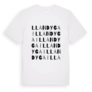 Llandygai ordlek t-shirt – ekologisk bomull t-shirt från Pinshirt