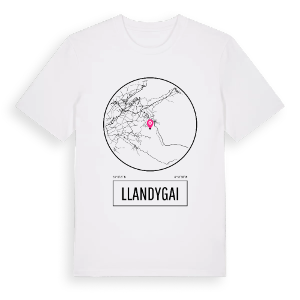 Llandygai t-shirt – ekologisk bomull t-shirt från Pinshirt