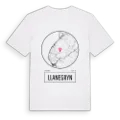 Llanegryn t-shirt