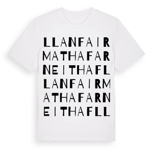 Llanfair Mathafarn Eithaf ordlek t-shirt – ekologisk bomull t-shirt från Pinshirt
