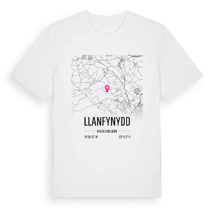 Llanfynydd karta t-shirt – ekologisk bomull t-shirt från Pinshirt