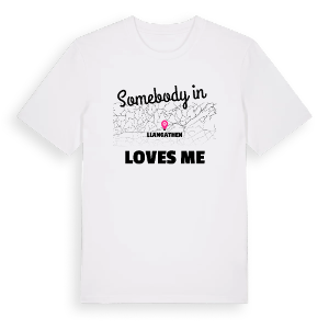 Någon i Llangathen älskar mig t-shirt – ekologisk bomull t-shirt från Pinshirt