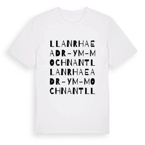 Llanrhaeadr-ym-Mochnant ordlek t-shirt – ekologisk bomull t-shirt från Pinshirt