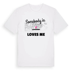 Någon i Llanrumney älskar mig t-shirt – ekologisk bomull t-shirt från Pinshirt