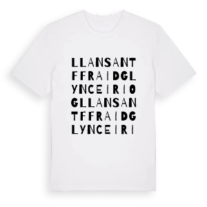 Llansantffraid Glyn Ceiriog ordlek t-shirt – ekologisk bomull t-shirt från Pinshirt