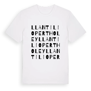 Llantilio Pertholey ordlek t-shirt – ekologisk bomull t-shirt från Pinshirt