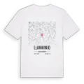 Llanwinio karta t-shirt