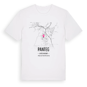 Panteg karta t-shirt – ekologisk bomull t-shirt från Pinshirt