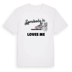 Någon i Pembrokeshire älskar mig t-shirt – ekologisk bomull t-shirt från Pinshirt
