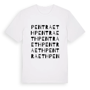 Pentraeth ordlek t-shirt – ekologisk bomull t-shirt från Pinshirt