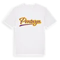 Pentwyn baseball t-shirt