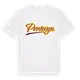Pentwyn baseball t-shirt
