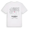 Pillgwenlly karta t-shirt