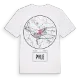 Pyle t-shirt