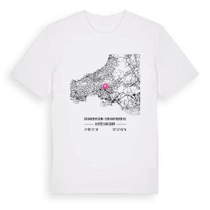 Sir Gaerfyrddin / Carmarthenshire karta t-shirt – ekologisk bomull t-shirt från Pinshirt