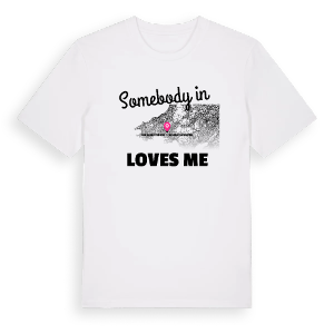 Någon i Sir Gaerfyrddin / Carmarthenshire älskar mig t-shirt – ekologisk bomull t-shirt från Pinshirt