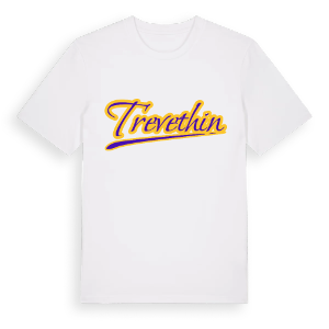 Trevethin baseball t-shirt – ekologisk bomull t-shirt från Pinshirt