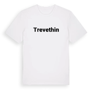 Trevethin fetstil t-shirt – ekologisk bomull t-shirt från Pinshirt