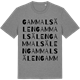 Mid Heather Gray t-shirt med Gammalsälen ordlek t-shirt