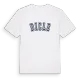 Dicle college t-shirt
