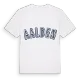 Aalden college t-shirt