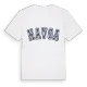 Havsa college t-shirt