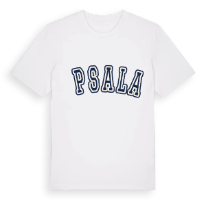 İpsala college t-shirt – ekologisk bomull t-shirt från Pinshirt