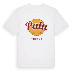 Palu cirkel t-shirt – ekologisk bomull t-shirt från Pinshirt