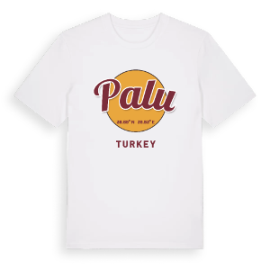Palu cirkel t-shirt – ekologisk bomull t-shirt från Pinshirt