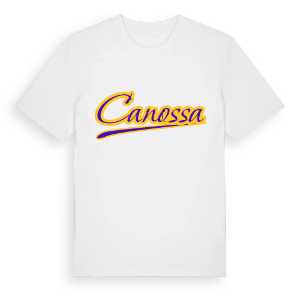 Canossa baseball t-shirt – ekologisk bomull t-shirt från Pinshirt