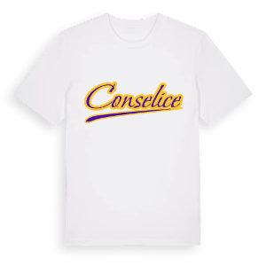 Conselice baseball t-shirt – ekologisk bomull t-shirt från Pinshirt
