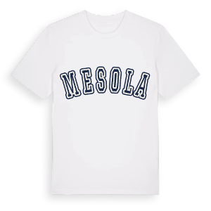 Mesola college t-shirt – ekologisk bomull t-shirt från Pinshirt