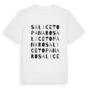 Saliceto Panaro ordlek t-shirt – ekologisk bomull t-shirt från Pinshirt