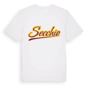 Secchio baseball t-shirt – ekologisk bomull t-shirt från Pinshirt